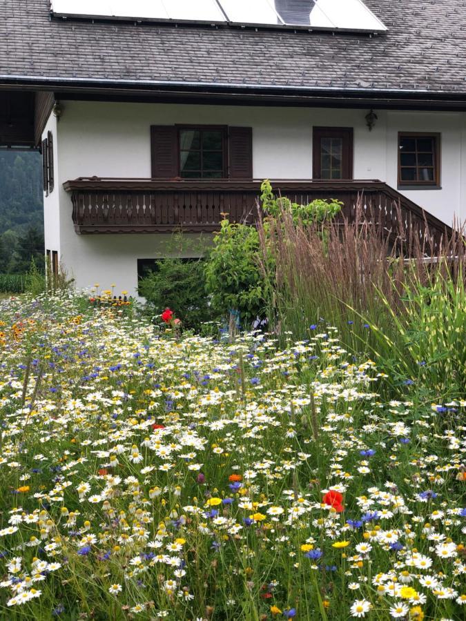 Ferienwohnung Lassendorf Hermagor-Pressegger See Εξωτερικό φωτογραφία